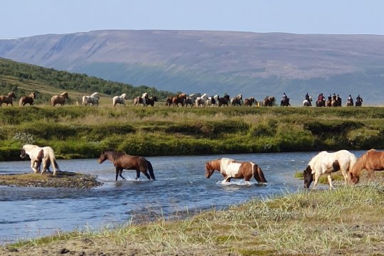 Long Riding Tours